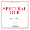 Disastronaut - Spectral Dub Live in Paris